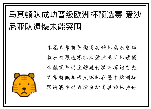 马其顿队成功晋级欧洲杯预选赛 爱沙尼亚队遗憾未能突围